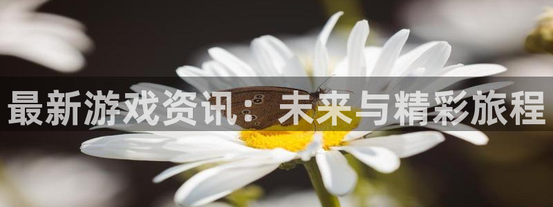 运达娱乐app