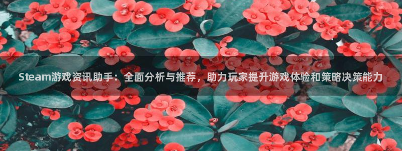 运达娱乐下载