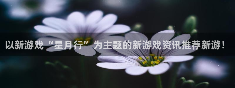 运达娱乐注册服务条款