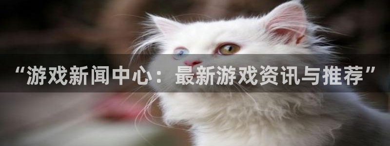 运达娱乐4开户