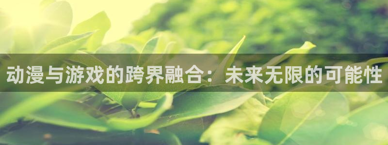运达娱乐注册